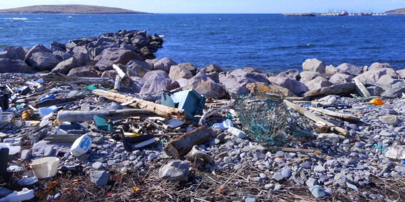 Startling Amount of Litter on Provincial Beaches after Coastline Litter Audit - Vimarsana News