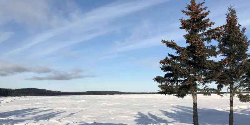 Labrador Projected To See Most Dramatic Impacts Of Climate Change   Labrador North West River Snow Tree 