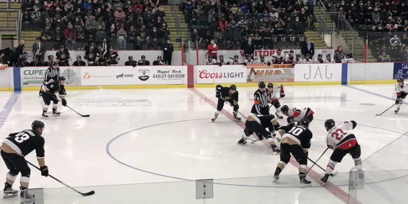 Growlers Win Two Of Three Games Against Adirondack Thunder In First Home Series Vocm