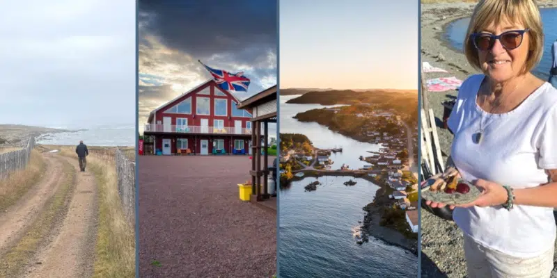 newfoundland tourism operator portal