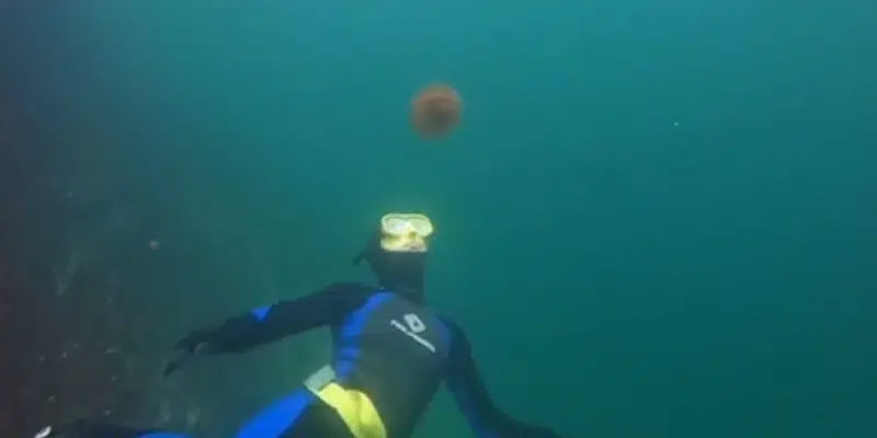 Certified Diver Uses Tiktok To Highlight Nls Underwater Beauty Vocm