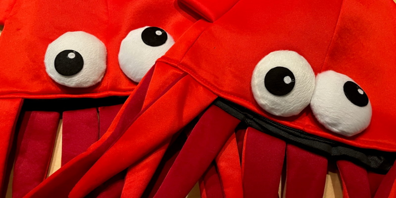 SquidFest Continues in Town of Holyrood - Vimarsana News