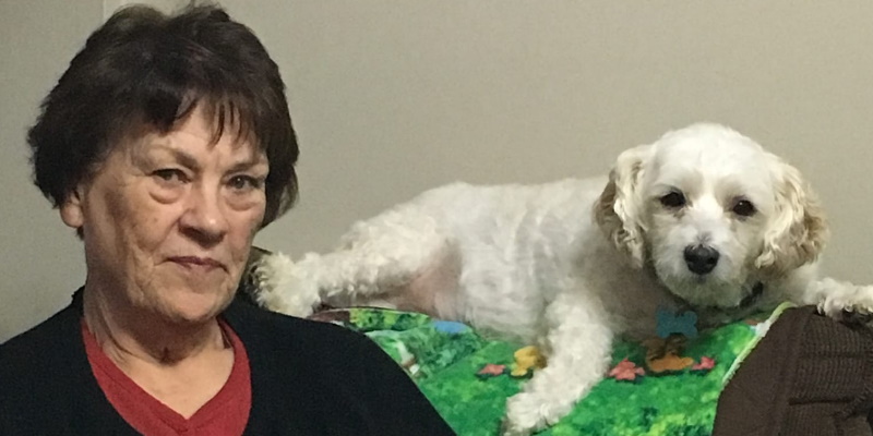 RNC Release New Information in Search for Missing Elderly Woman - Vimarsana News
