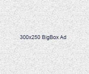 300x250bigboxspace