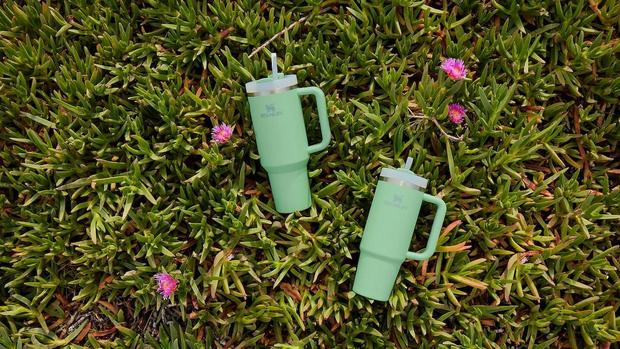 Stanley's Beloved Quencher Tumbler Is Coming in New Pastel Colors