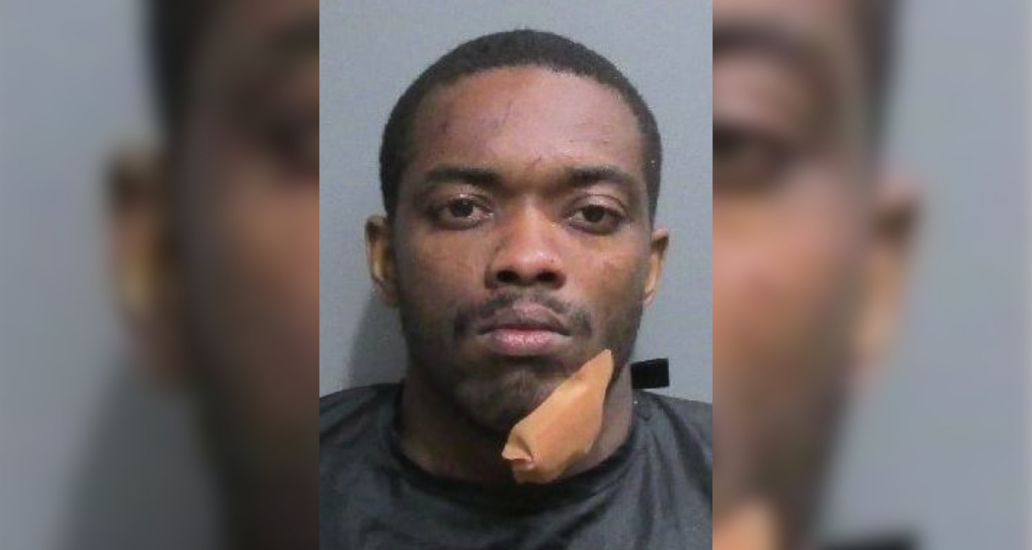 Reckless Driver Crashes, Attempts To Flee From Deputies - Vimarsana News